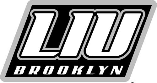 LIU-Brooklyn Blackbirds 2008-Pres Alternate Logo v2 diy DTF decal sticker